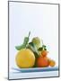 Still Life with Citrus Fruits-Armin Zogbaum-Mounted Photographic Print