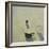 Still Life with Cobweb Jug, 2015-Anastasia Lennon-Framed Giclee Print