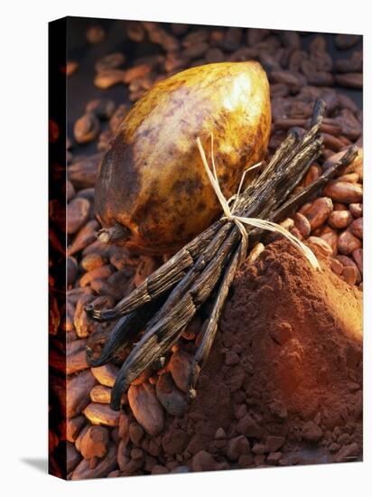 Still Life with Cocoa and Vanilla Pods-Marc O^ Finley-Stretched Canvas