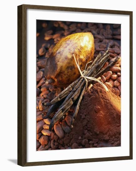 Still Life with Cocoa and Vanilla Pods-Marc O^ Finley-Framed Photographic Print