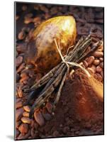 Still Life with Cocoa and Vanilla Pods-Marc O^ Finley-Mounted Photographic Print