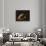 Still Life with Cutlets-Antoine Vollon-Giclee Print displayed on a wall