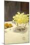 Still Life with Daffodils, 1885-95-John Singer Sargent-Mounted Giclee Print