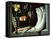 Still Life with Dead Birds, Fruit and Vegetables, 1602-Juan Sanchez Cotan-Framed Stretched Canvas
