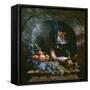 Still Life with Dead Game in a Marble Niche, 1706 (Oil on Canvas)-Alexandre-Francois Desportes-Framed Stretched Canvas