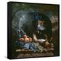 Still Life with Dead Game in a Marble Niche, 1706 (Oil on Canvas)-Alexandre-Francois Desportes-Framed Stretched Canvas