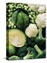 Still Life with Different Types of Cabbages-Peter Howard Smith-Stretched Canvas