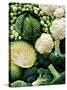 Still Life with Different Types of Cabbages-Peter Howard Smith-Stretched Canvas