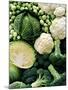 Still Life with Different Types of Cabbages-Peter Howard Smith-Mounted Photographic Print