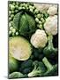 Still Life with Different Types of Cabbages-Peter Howard Smith-Mounted Photographic Print