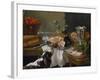 Still Life with Dog-Alexandre-Francois Desportes-Framed Giclee Print