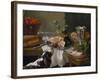 Still Life with Dog-Alexandre-Francois Desportes-Framed Giclee Print