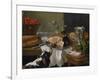 Still Life with Dog-Alexandre-Francois Desportes-Framed Giclee Print