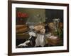 Still Life with Dog-Alexandre-Francois Desportes-Framed Giclee Print