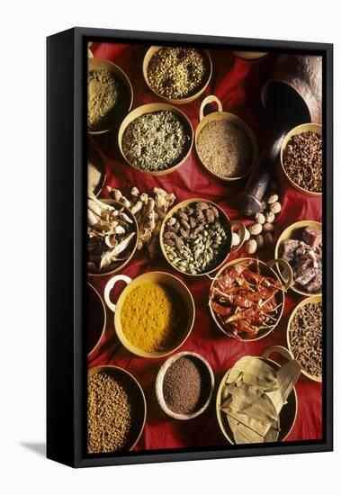 Still Life with Exotic Spices-Frederic Vasseur-Framed Stretched Canvas