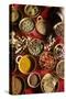 Still Life with Exotic Spices-Frederic Vasseur-Stretched Canvas