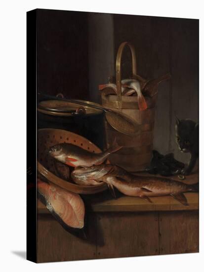 Still Life with Fish and a Cat, C. 1650-1660-Wallerant Vaillant-Stretched Canvas