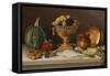 Still Life with Fish and a Pumpkin (Dining Room Scene)-Jose Agustin Arrieta-Framed Stretched Canvas