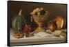 Still Life with Fish and a Pumpkin (Dining Room Scene)-Jose Agustin Arrieta-Framed Stretched Canvas