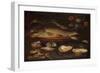 Still Life with Fish, Oysters and Shrimps, C.1620-50 (Oil on Panel)-Clara Peeters-Framed Giclee Print