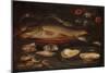 Still Life with Fish, Oysters and Shrimps, C.1620-50 (Oil on Panel)-Clara Peeters-Mounted Giclee Print