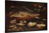 Still Life with Fish, Oysters and Shrimps, C.1620-50 (Oil on Panel)-Clara Peeters-Stretched Canvas
