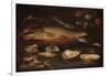 Still Life with Fish, Oysters and Shrimps, C.1620-50 (Oil on Panel)-Clara Peeters-Framed Giclee Print