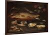 Still Life with Fish, Oysters and Shrimps, C.1620-50 (Oil on Panel)-Clara Peeters-Framed Giclee Print