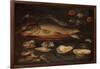 Still Life with Fish, Oysters and Shrimps, C.1620-50 (Oil on Panel)-Clara Peeters-Framed Giclee Print