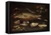 Still Life with Fish, Oysters and Shrimps-Clara Peeters-Framed Stretched Canvas