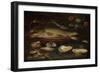 Still Life with Fish, Oysters and Shrimps-Clara Peeters-Framed Art Print