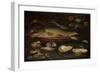 Still Life with Fish, Oysters and Shrimps-Clara Peeters-Framed Art Print