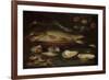 Still Life with Fish, Oysters and Shrimps-Clara Peeters-Framed Premium Giclee Print