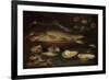 Still Life with Fish, Oysters and Shrimps-Clara Peeters-Framed Premium Giclee Print