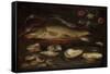 Still Life with Fish, Oysters and Shrimps-Clara Peeters-Framed Stretched Canvas