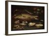 Still Life with Fish, Oysters and Shrimps-Clara Peeters-Framed Art Print