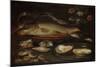 Still Life with Fish, Oysters and Shrimps-Clara Peeters-Mounted Art Print
