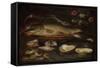 Still Life with Fish, Oysters and Shrimps-Clara Peeters-Framed Stretched Canvas