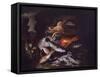 Still Life with Fish, Shellfish and Crustaceans-Francesco Della Questa-Framed Stretched Canvas