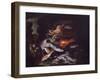 Still Life with Fish, Shellfish and Crustaceans-Francesco Della Questa-Framed Giclee Print