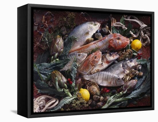 Still Life with Fish, Shellfish and Vegetables-Klaus P^ Exner-Framed Stretched Canvas