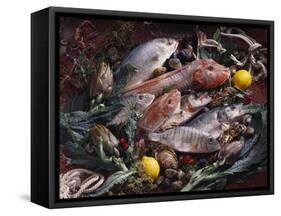 Still Life with Fish, Shellfish and Vegetables-Klaus P^ Exner-Framed Stretched Canvas