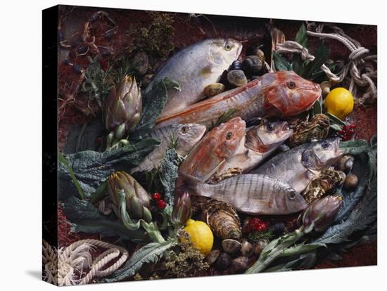 Still Life with Fish, Shellfish and Vegetables-Klaus P^ Exner-Stretched Canvas