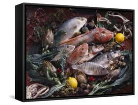 Still Life with Fish, Shellfish and Vegetables-Klaus P^ Exner-Framed Stretched Canvas