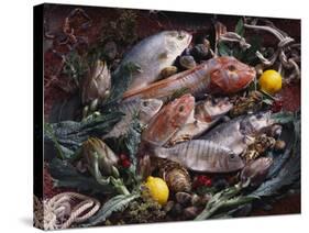 Still Life with Fish, Shellfish and Vegetables-Klaus P^ Exner-Stretched Canvas
