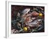 Still Life with Fish, Shellfish and Vegetables-Klaus P^ Exner-Framed Photographic Print