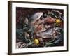 Still Life with Fish, Shellfish and Vegetables-Klaus P^ Exner-Framed Photographic Print