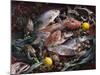 Still Life with Fish, Shellfish and Vegetables-Klaus P^ Exner-Mounted Photographic Print