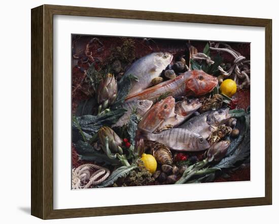 Still Life with Fish, Shellfish and Vegetables-Klaus P^ Exner-Framed Photographic Print