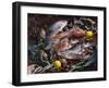 Still Life with Fish, Shellfish and Vegetables-Klaus P^ Exner-Framed Photographic Print